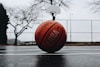 NBA与CBA篮球比分直播网站对比分析图表，展示各平台数据准确性评分和实时更新速度排名